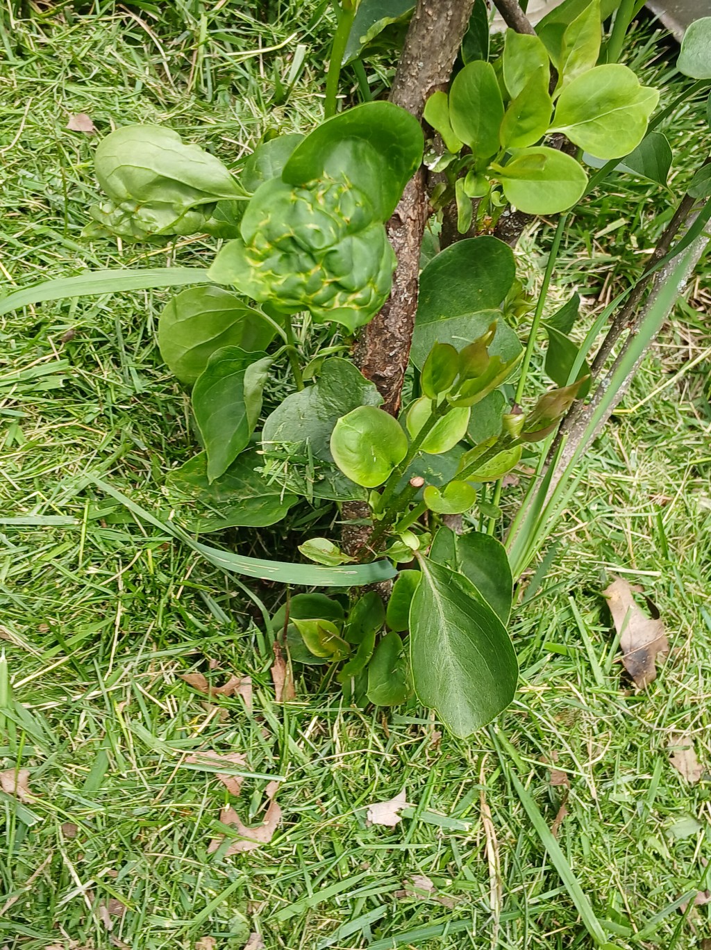 A Million Little&nbsp;Crosses